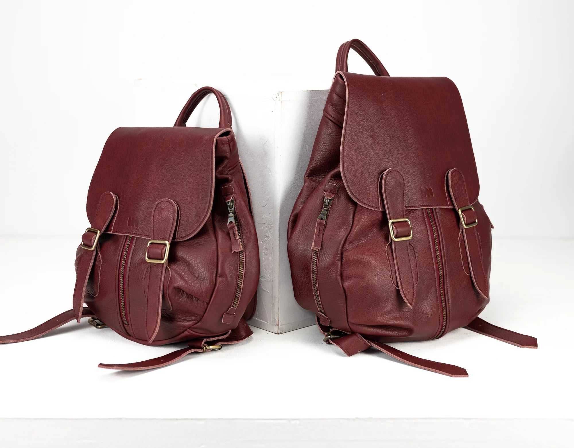 Artemis Backpack